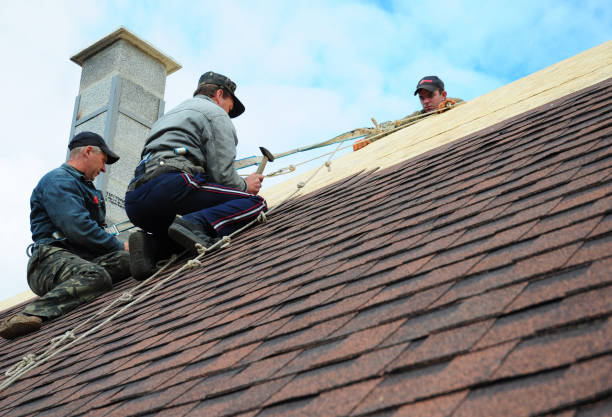 Best Roof Restoration Services  in Roodhouse, IL